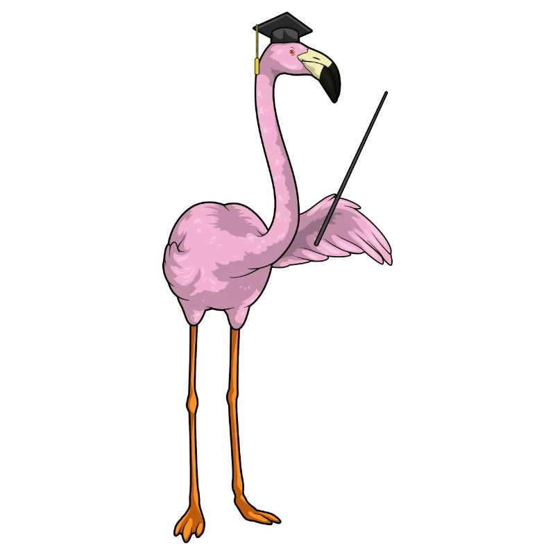 Flamingo Student Diploma