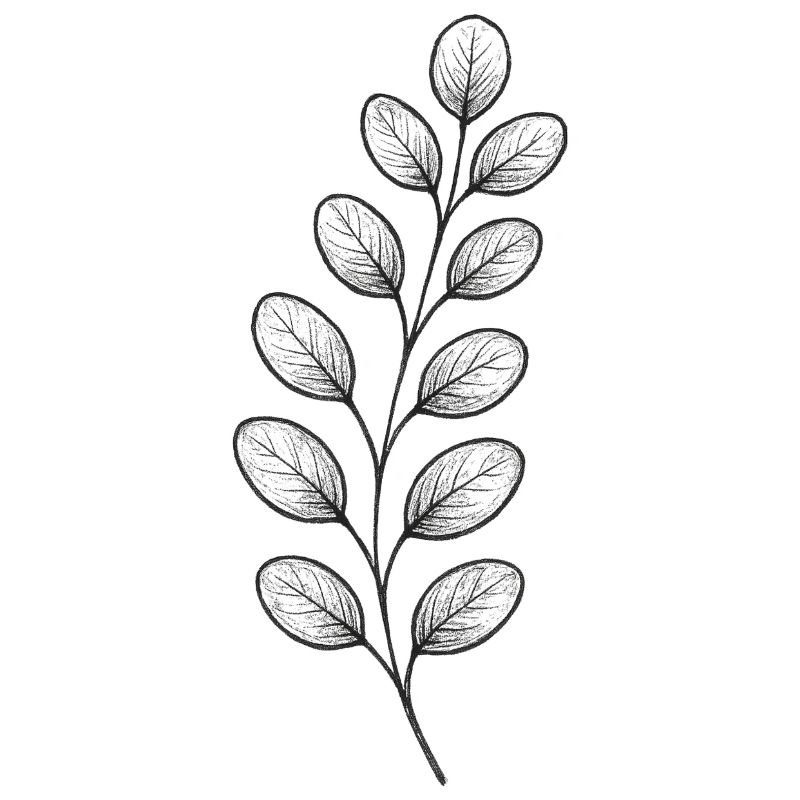 Graphitic Leaf Branch – Monochrome