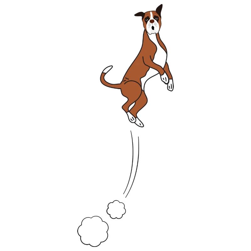 Boxer Hundesprünge