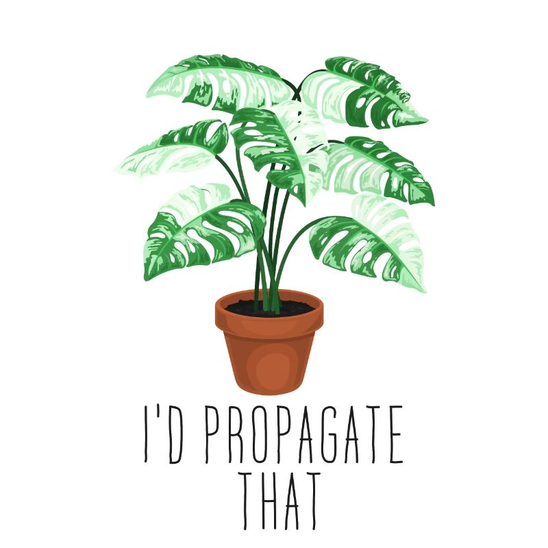 I'd Propagate That