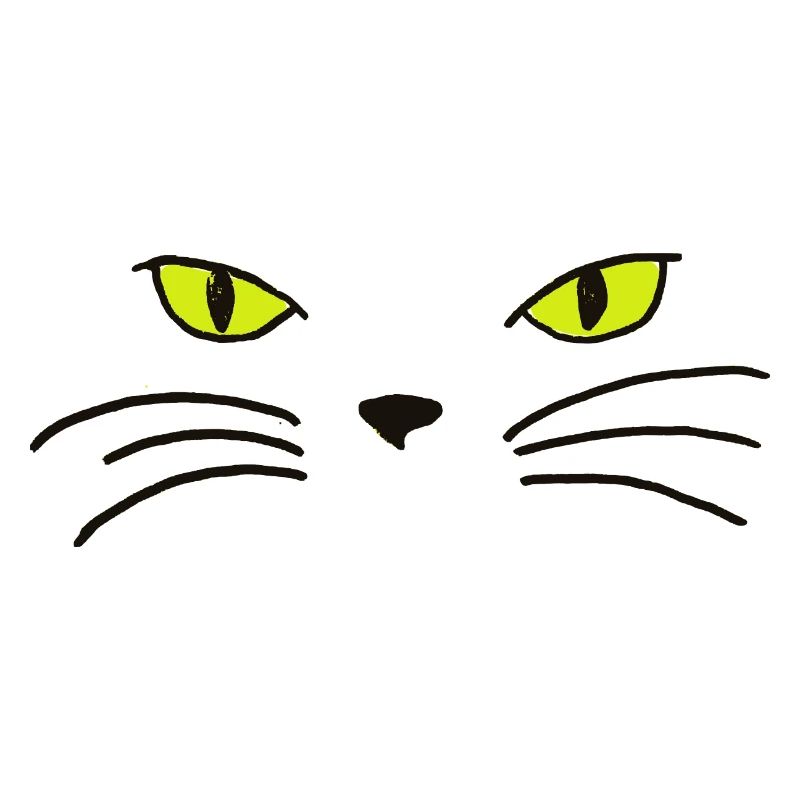 Katze