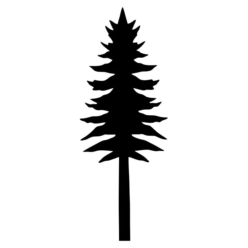 Nadelbaum, Tanne, Baum, Wald