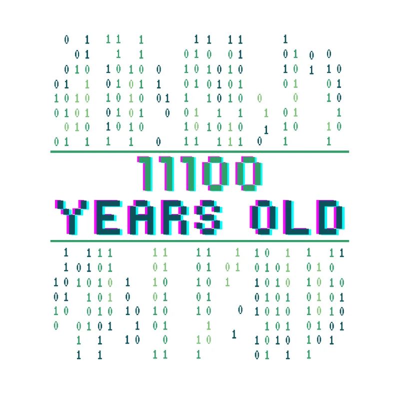 28th Birthday 28 years old Binary Code Coder