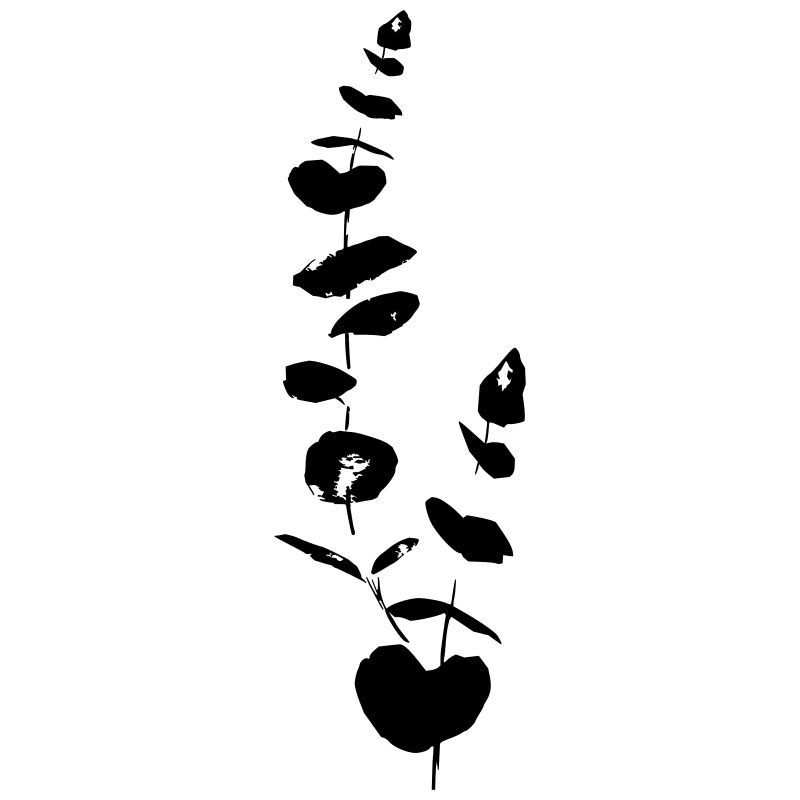 Eukalyptus