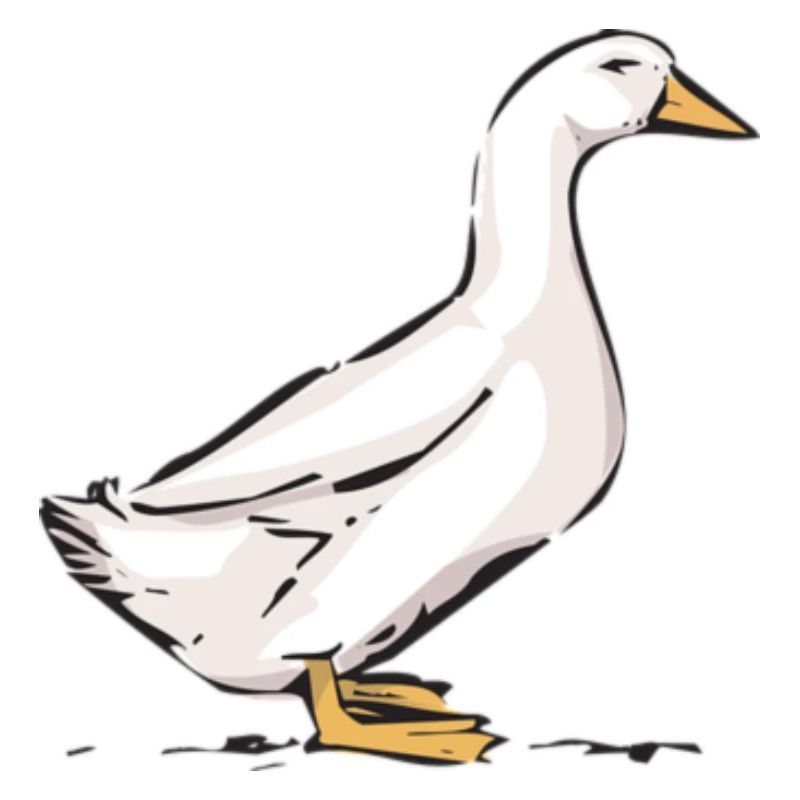 Gans