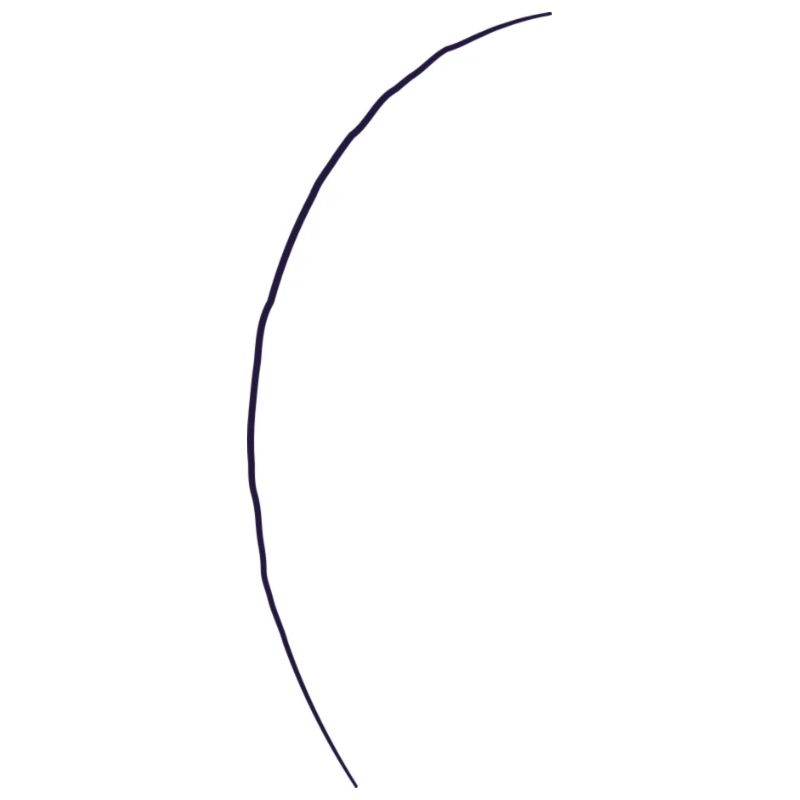 Conifer - line