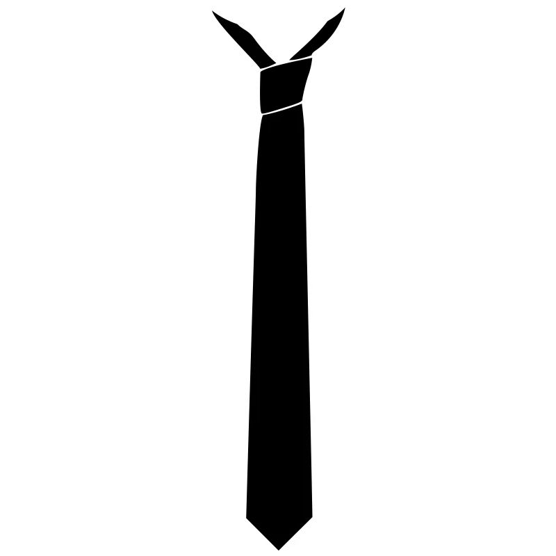 cravate style