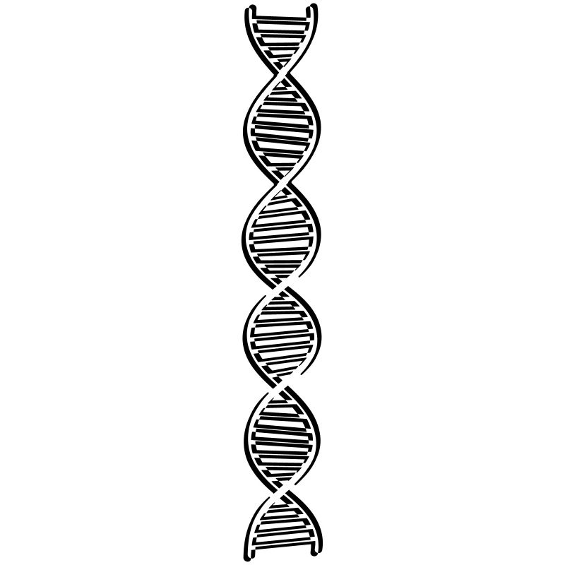 research dna dns genome gene science knowledge c