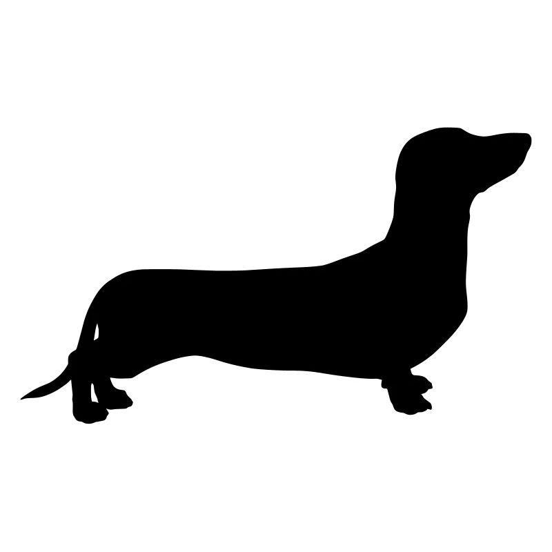 Dachshund