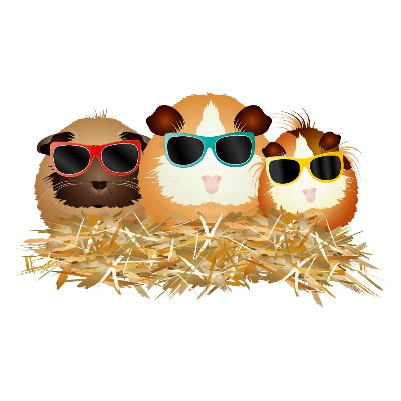 groupe de cochons d’Inde cool avec lunettes de soleil