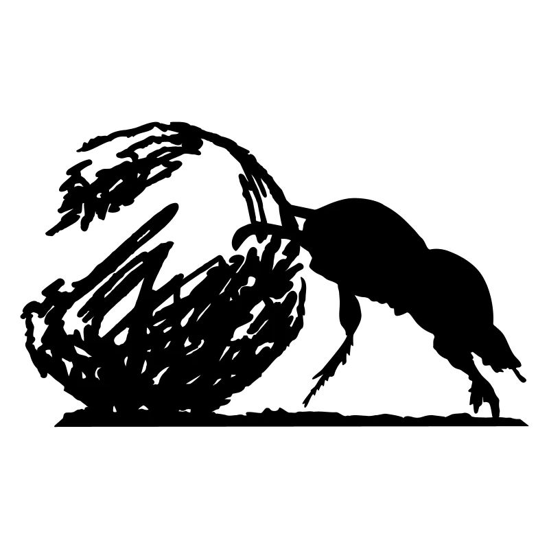 Coléoptère de bouse