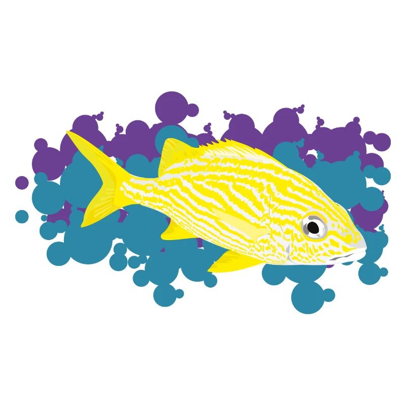 Gelber Corocoro – Haemulon flavolineatum
