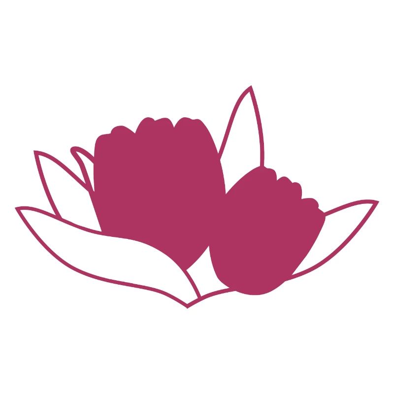 Tulipe Rosa
