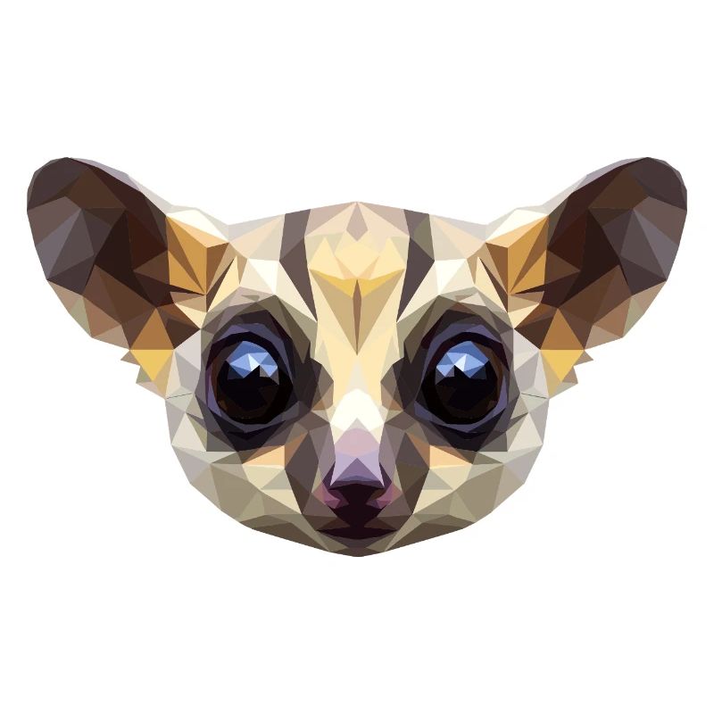 Galago Buisson Bébé Singe Galagos Singe Mignon Galago