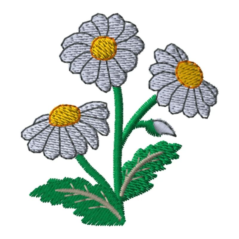 Gänseblümchen