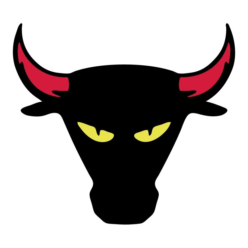 bull corrida