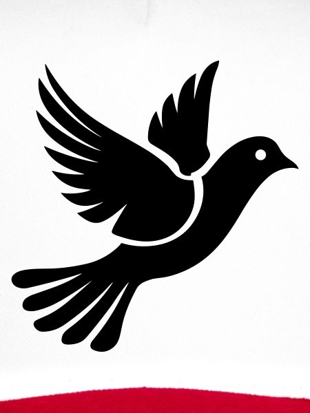 Dove