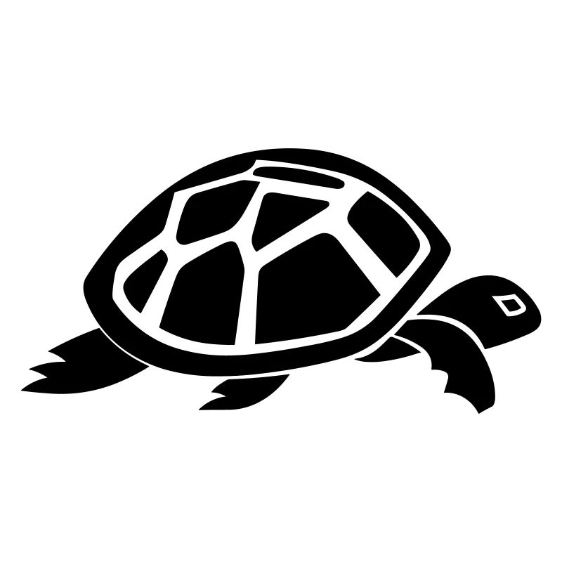 Tortoise