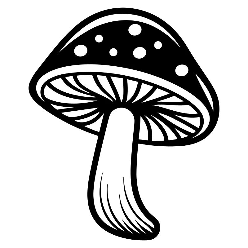 champignon