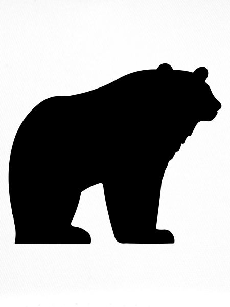 bear