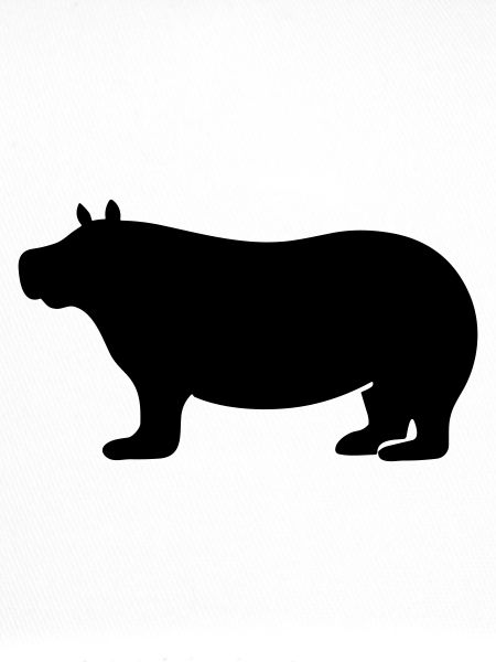 hippopotame