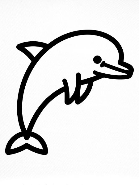 dolphin