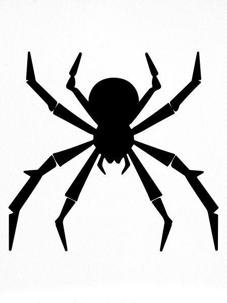 araignée