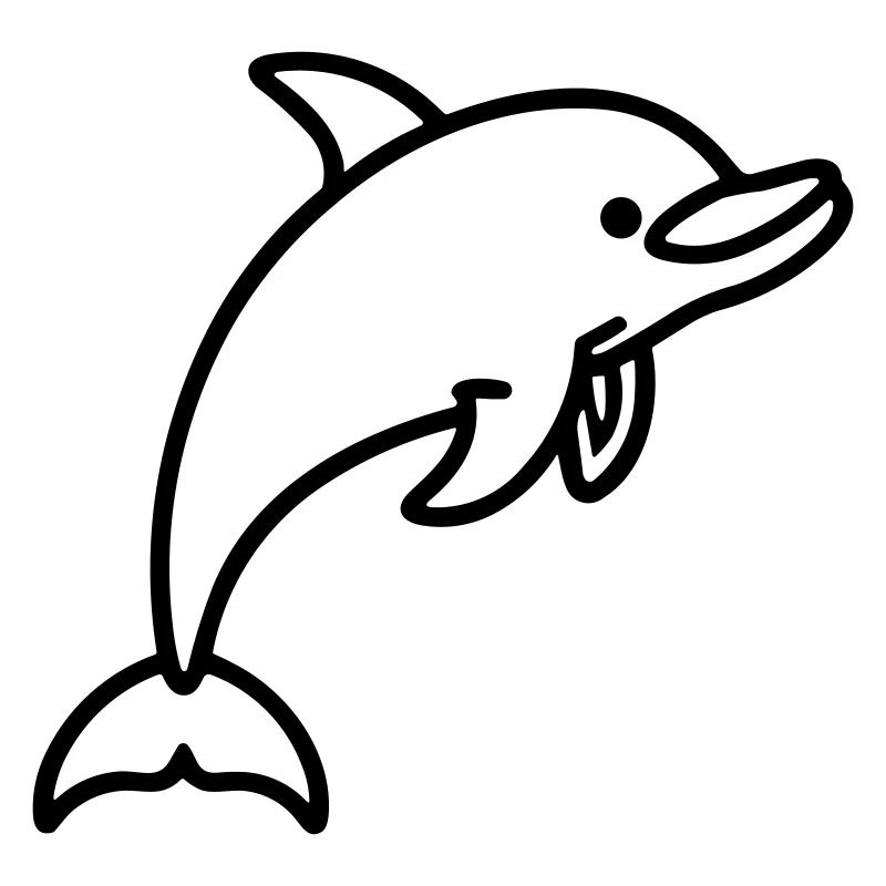dolphin