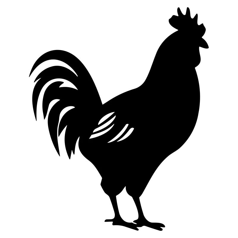 Huhn