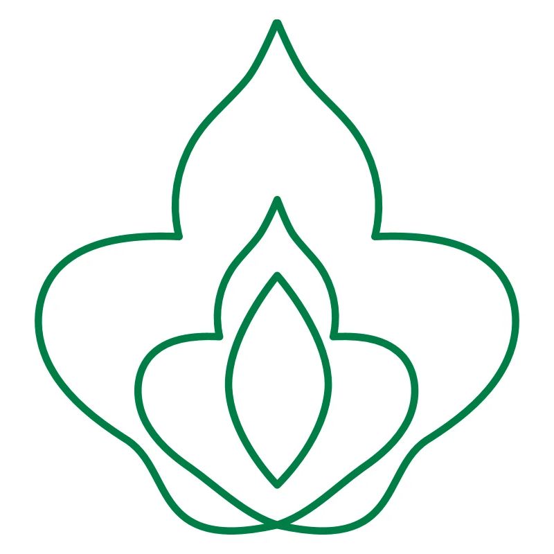 fleur de dame fleur