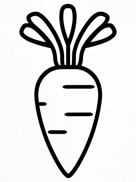 carrot