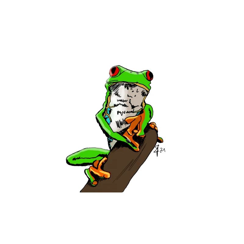 Frosch