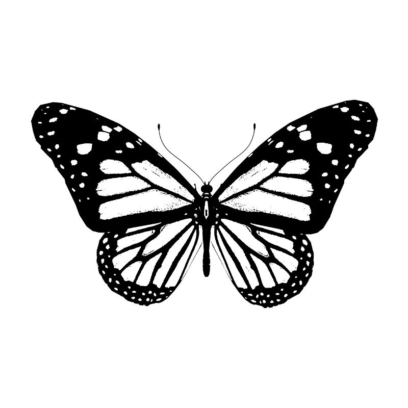 Butterfly, butterfly, gift idea