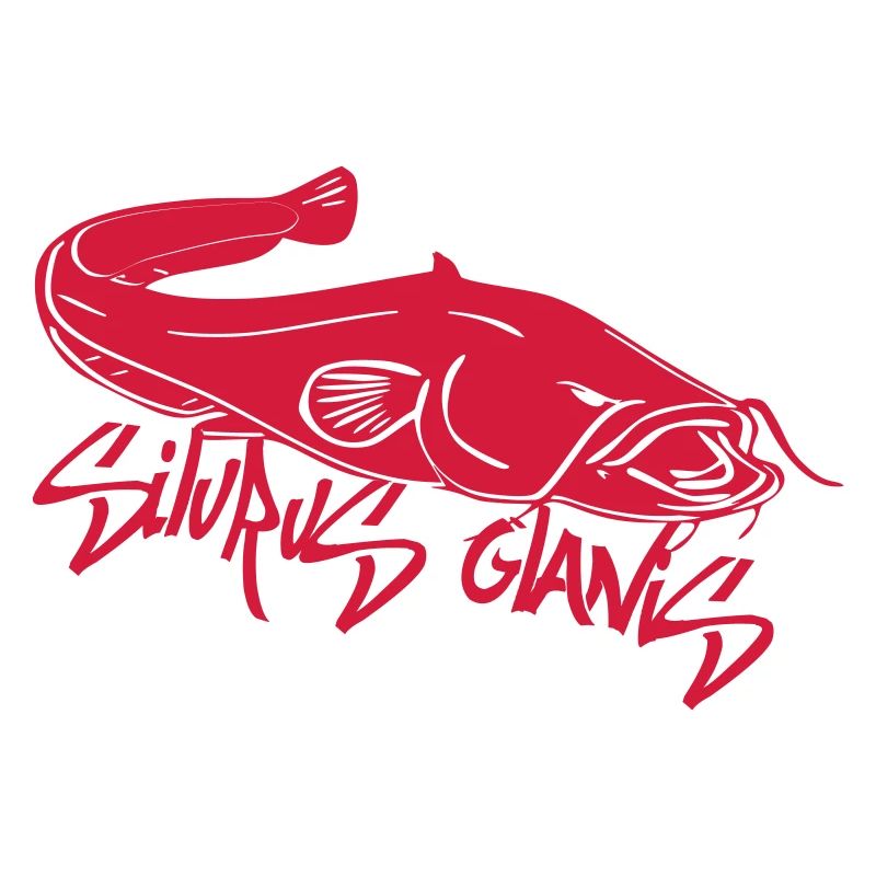 silurus glanis2