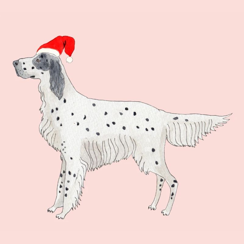 Setter anglais Fundogs Noël