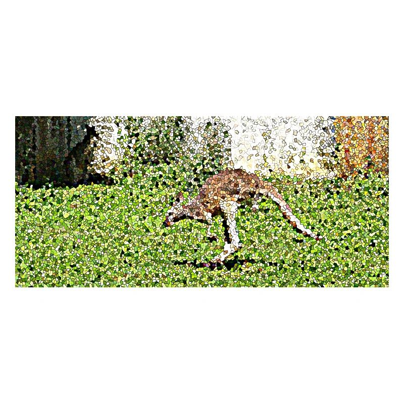Der große Känguru-Sprung