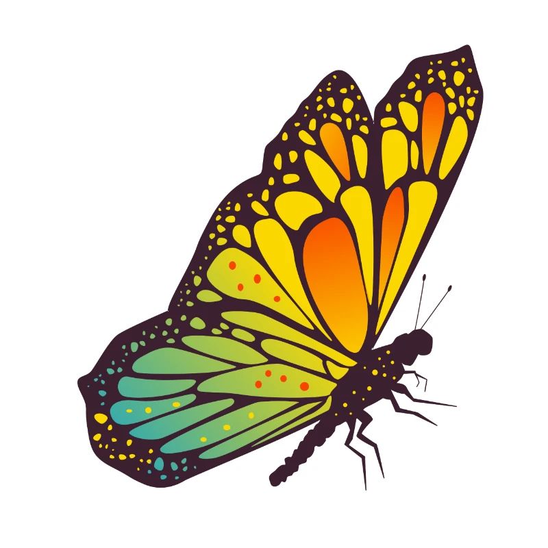 papillon