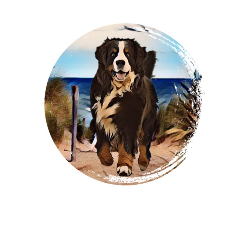 Berner Berghund