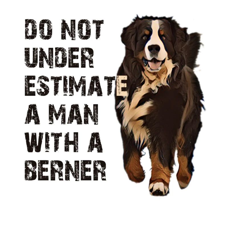 Berner Berghund