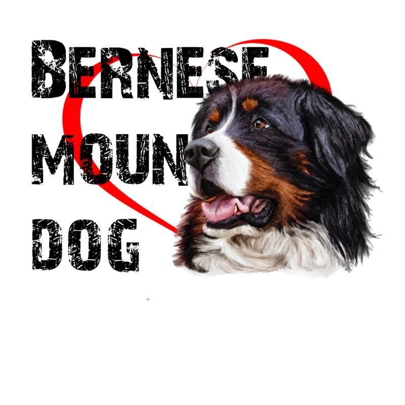 Bouvier bernois