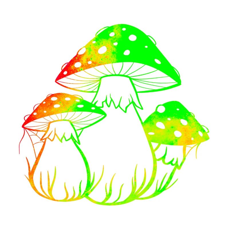 Champignons fluos