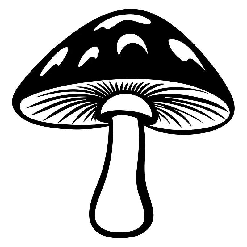 champignon