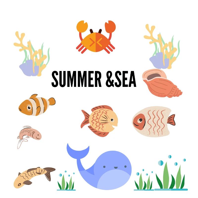 SOMMER & MEER