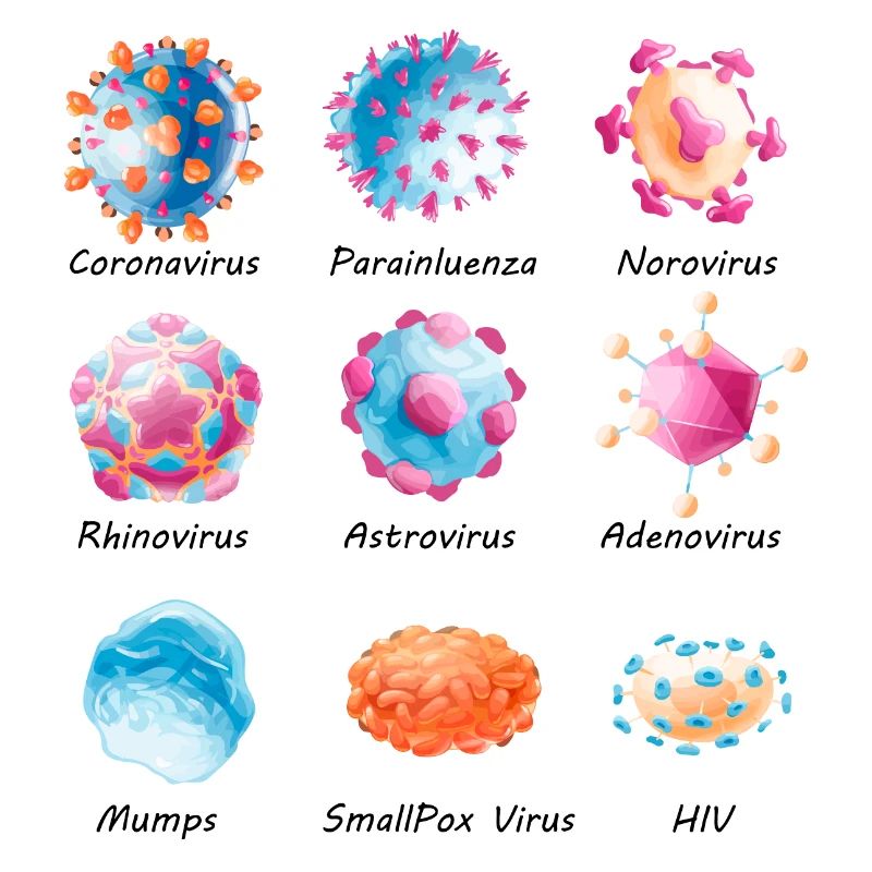Divers virus - norovirus, VIH, etc.