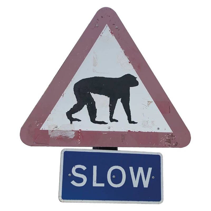 Schild Affe fbg