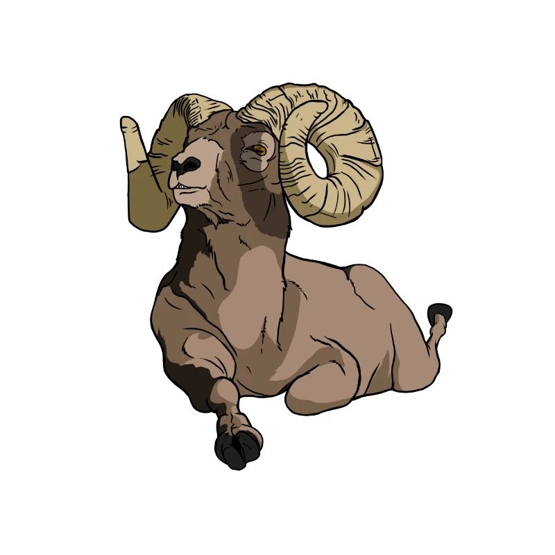 funny looking mouflon gift for mouflon fan