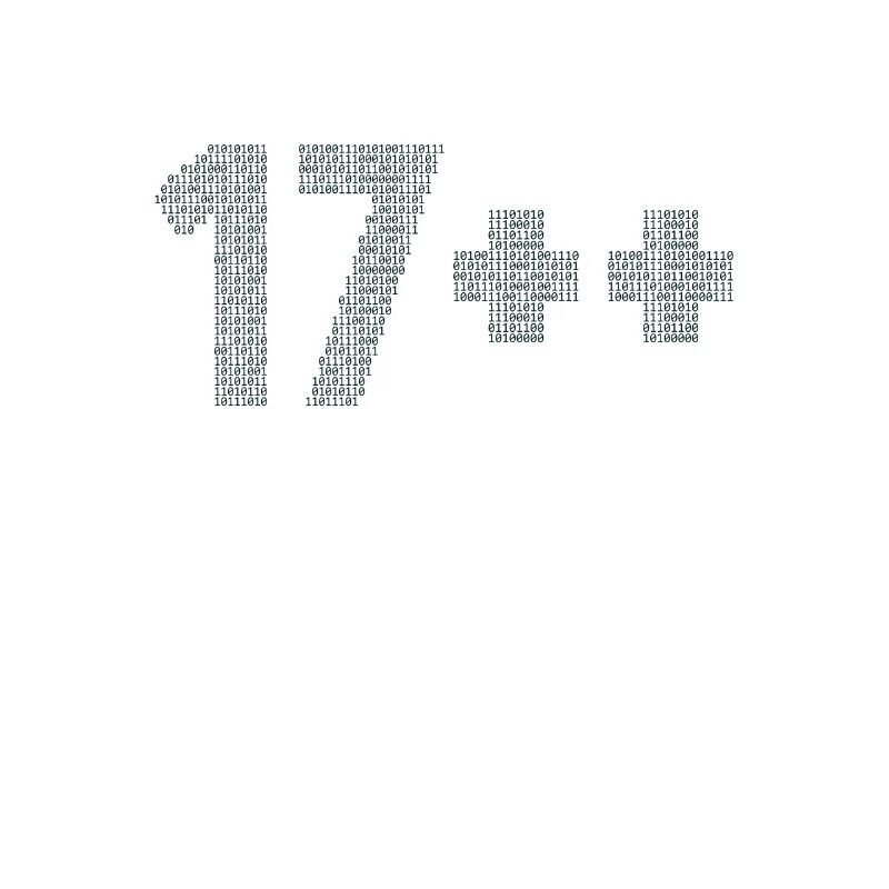 17++ Programmierer Developer Coder 18. Geburtstag