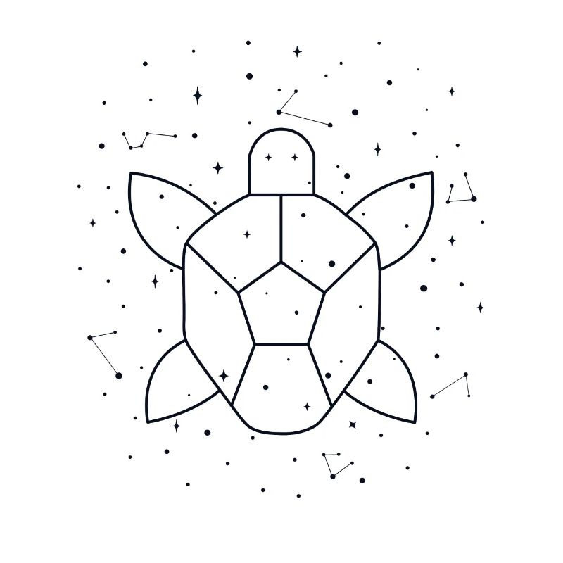 Constellation Aquatic Turtle constellation