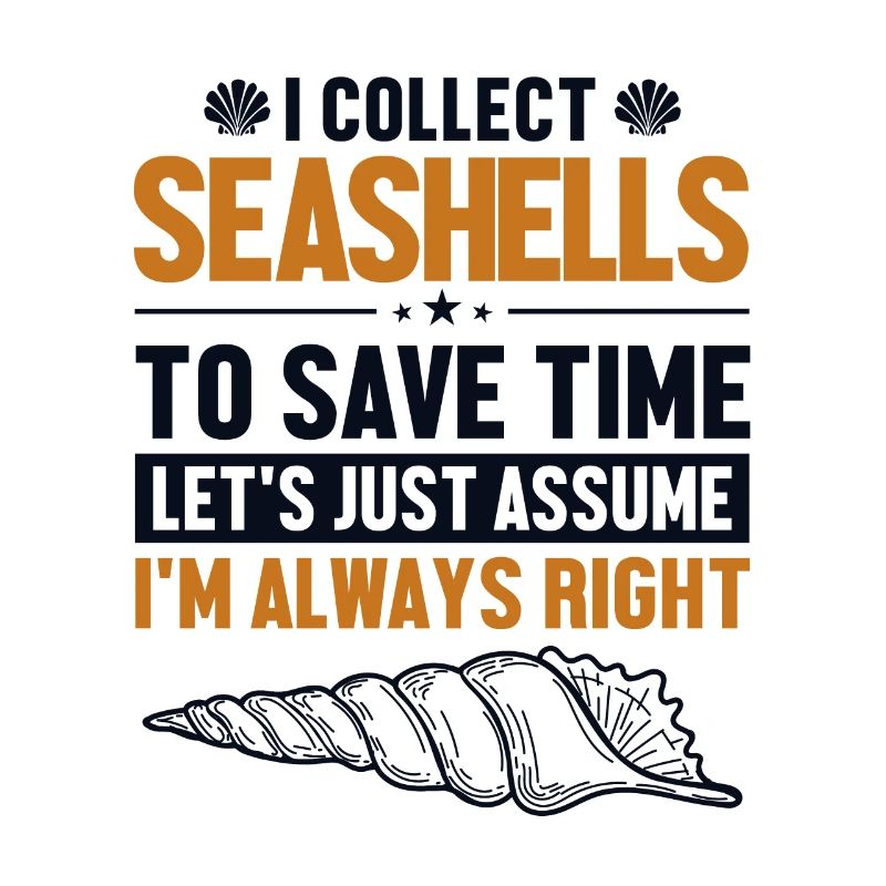 Seashells Let's Assume I'm Right Shell Seashell
