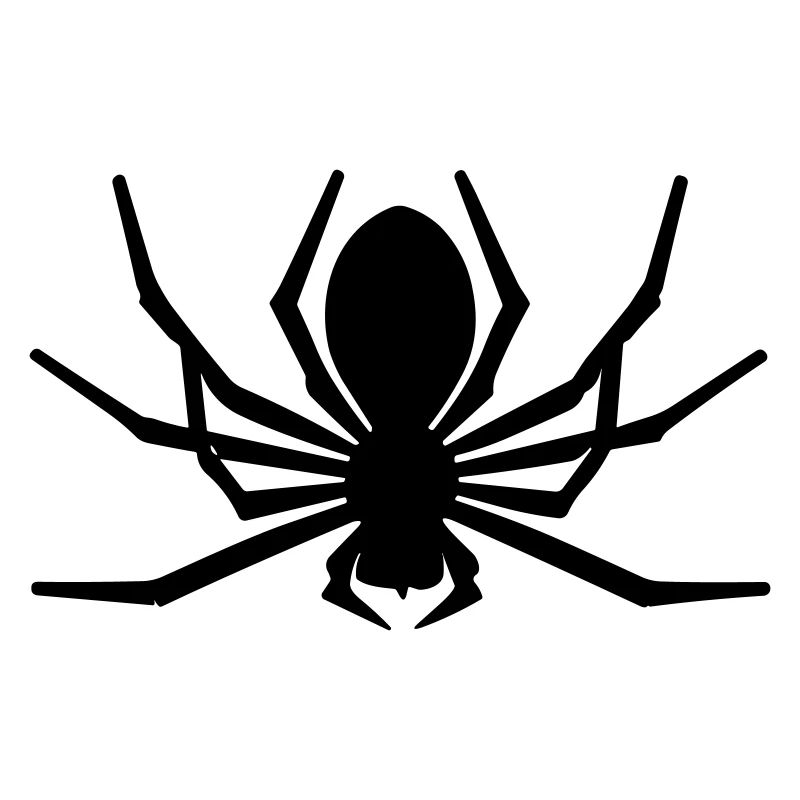 spider
